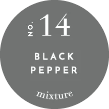 MIXTURE CLEANING DISC BLACK PEPPER HAND LOTION