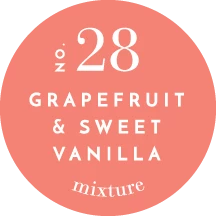 MIXTURE CLEANING DISC GRAPEFRUIT HAND LOTION