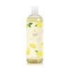 CLEANING THYMES LEMON LEAF ALL-PURPOSE CONCENTRATE