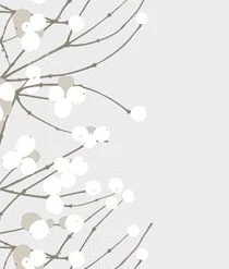 BOSTON INTERNATIONAL PAPER PRODUCTS LUMINARJA GUEST NAPKIN