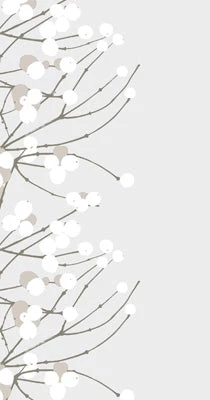 BOSTON INTERNATIONAL PAPER PRODUCTS LUMINARJA GUEST NAPKIN 1 BOSTON INTERNATIONAL PAPER PRODUCTS LUMINARJA GUEST NAPKIN